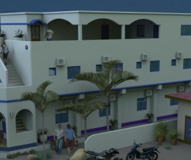 D´Gecko Hotel