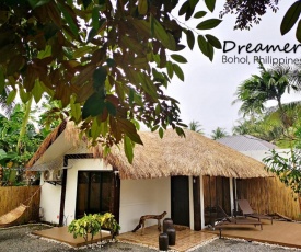 Dreamer.V House