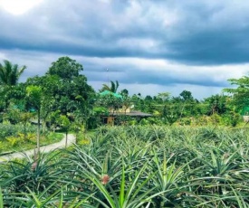 A relaxing Farm 2BR House in Tagaytay